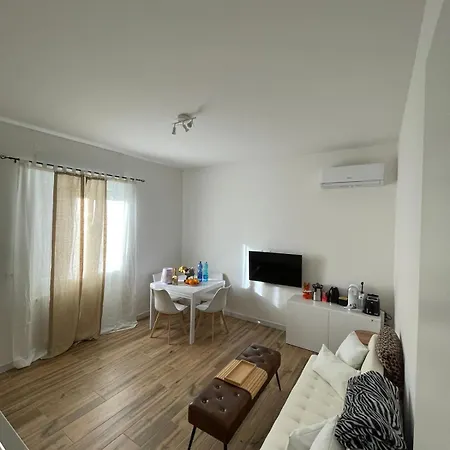 Pop House * 라팔로